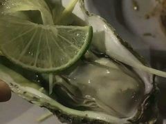 -越海渔村