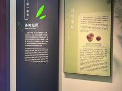-中国茶叶博物馆(双峰馆区)