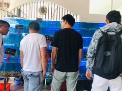 -QQ海鲜餐厅