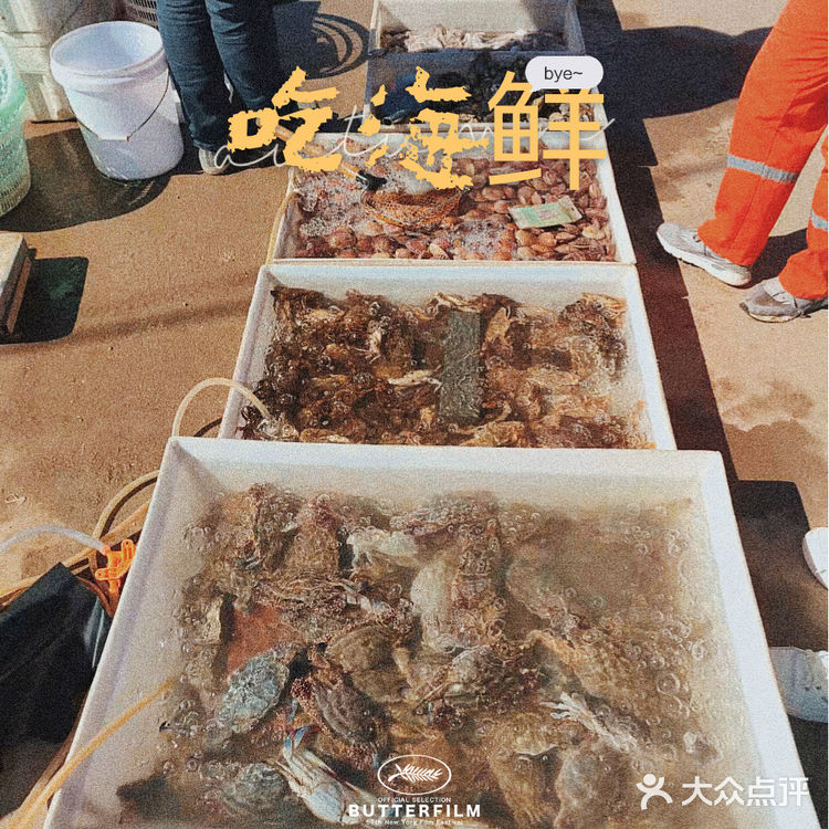 湉湉“秋日”出海 | 塘沽出海打鱼的绝佳地点