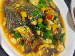 -全乐鱼馆·淳牌有机鱼直营店