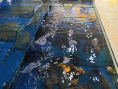 -小花卷味道餐厅(开发区五彩城店)