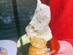 开心果-野人牧坊Gelato(天津南开大悦城店)