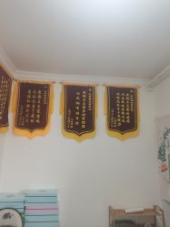 -程氏苗堂苗技养生