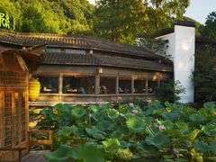 -绿茶餐厅(龙井船宴· 品牌总店)
