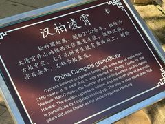 -青岛崂山太清宫