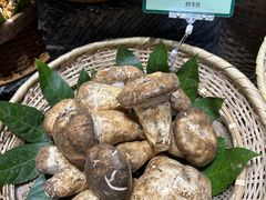 -黔蘑菇四季餐厅(观山湖店)