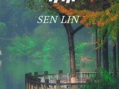 -重庆彩云湖湿地公园