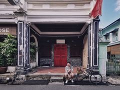 -槟城街头艺术街区