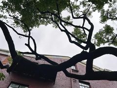 -华山263老字号品牌馆