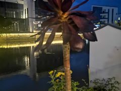 -湘湖金融镇