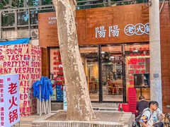 -阳阳老火锅(小南门店)