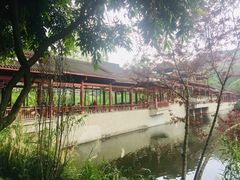 -重庆彩云湖湿地公园