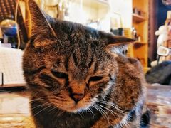 -云端咖啡私房店(河松街店)