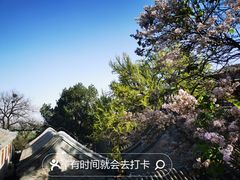 -八大处公园