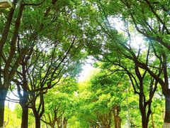 -白塘生态植物园
