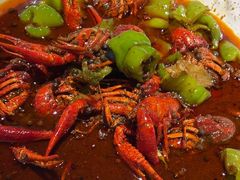 -京悦南门涮羊肉·羊蝎子火锅(田林路店)