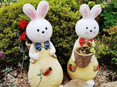 -上海共青森林公园