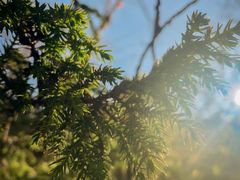 -叠溪松坪沟景区