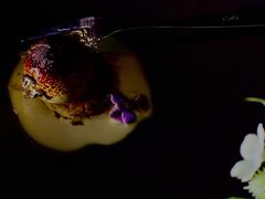 -K·Kitchen KK牛扒厨房(江南西店)