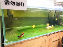 -甜心闲生传统手工冰粉(奎星楼店)
