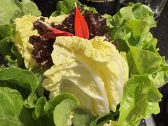 -捞王猪肚鸡火锅(昆山店)