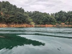 -酒仙湖景区