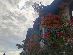 -扬州瘦西湖汇金酒店