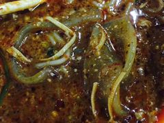 -老字号正宗四川麻辣烫(重庆路店)