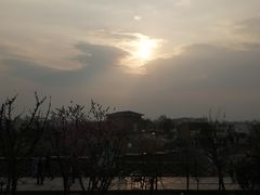 -空港花田景区