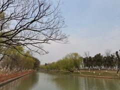 -九科绿洲