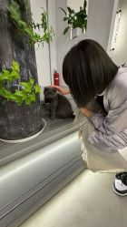 -蚂蚁造型俱乐部