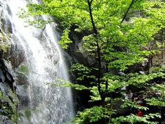 -藏龙百瀑风景区