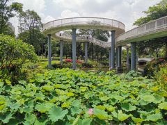 -文华公园(禅城区)