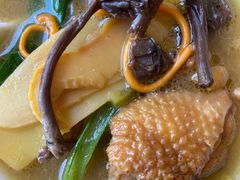 -野菌皇海景野生菌火锅(滨海大道店)