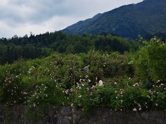 -太阳湾风景区