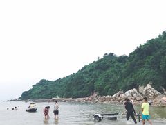 -杨梅坑