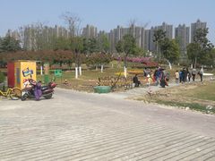 -滨湖塘西河公园