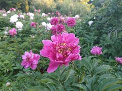 -长春公园(普阳街道)