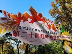 -广州市石门国家森林公园