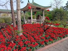 -广州莲花山旅游区