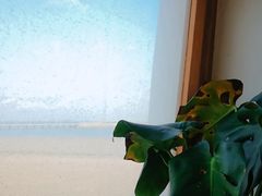 -ChanDu躔度咖啡(灯塔店)