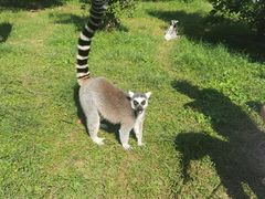 -杭州野生动物世界