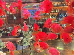 -火舞铁板烧(龙岗中心城店)