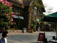 android_upload_pic-深圳东部华侨城瀑布酒店