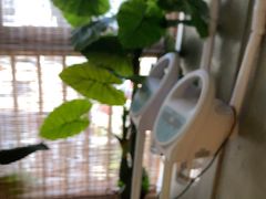 -施奈儿.洗头頭療.按摩SPA.采耳(上梅林店)