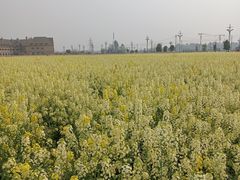 -中国天府农业博览园