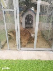 -萌宠亲子动物乐园(槐房万达店)