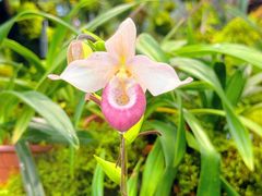 -国家植物园南园