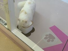 -天河领展广场